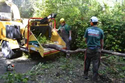 tree services Marbury